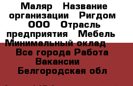 Маляр › Название организации ­ Ригдом, ООО › Отрасль предприятия ­ Мебель › Минимальный оклад ­ 1 - Все города Работа » Вакансии   . Белгородская обл.